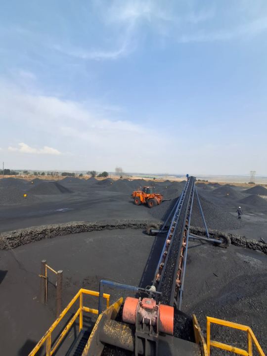 Conveyor running out to the stockyard