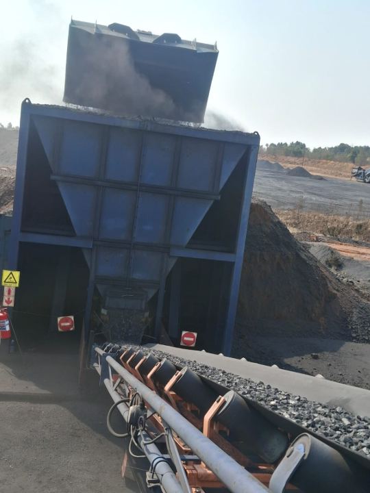 Feed bin discharging onto a conveyor